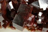Top Quality, Deep Red Vanadinite Crystal Cluster - Large Crystals #368135-1
